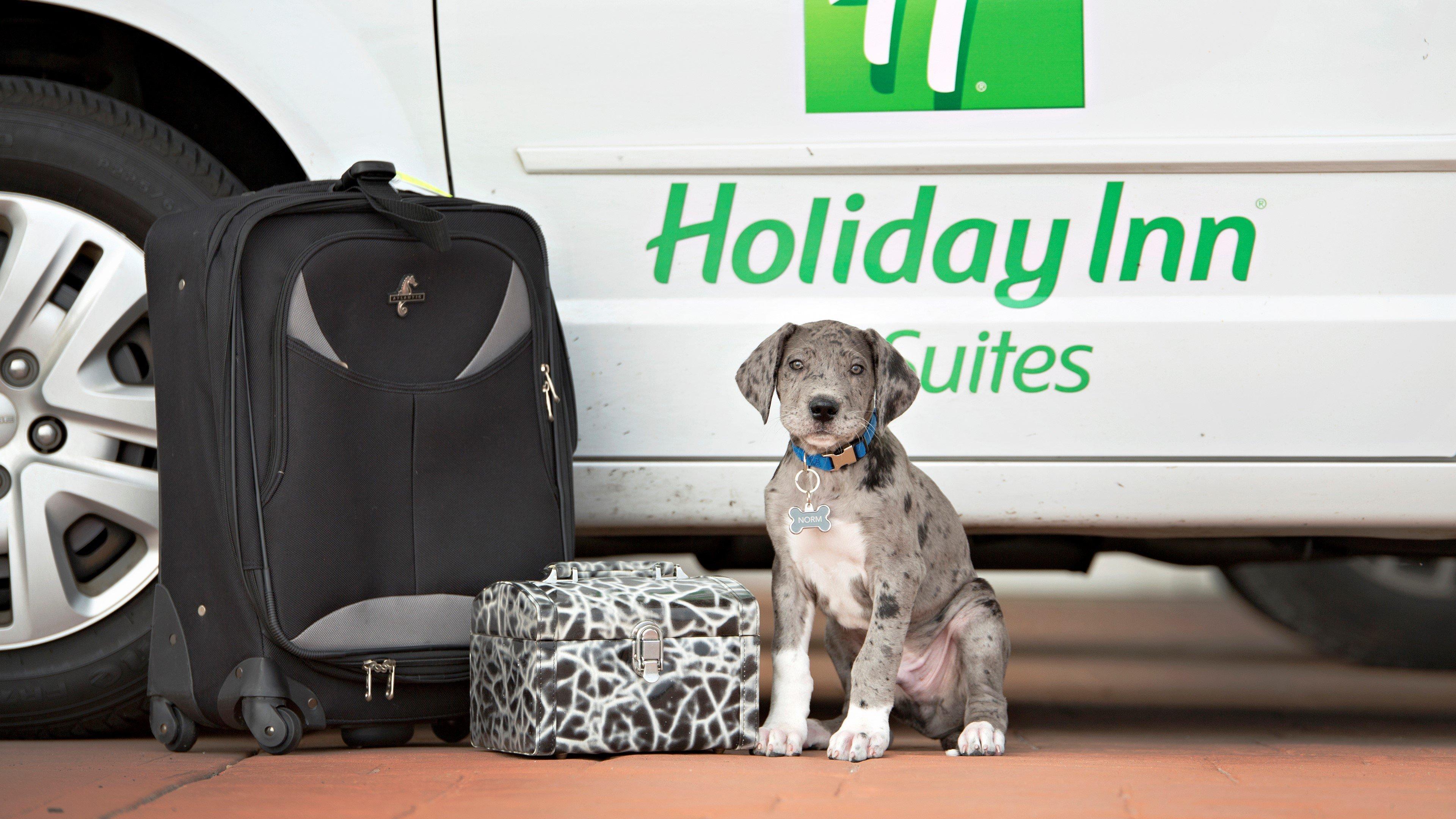 Holiday Inn Hotel & Suites Bloomington Airport By Ihg Kültér fotó